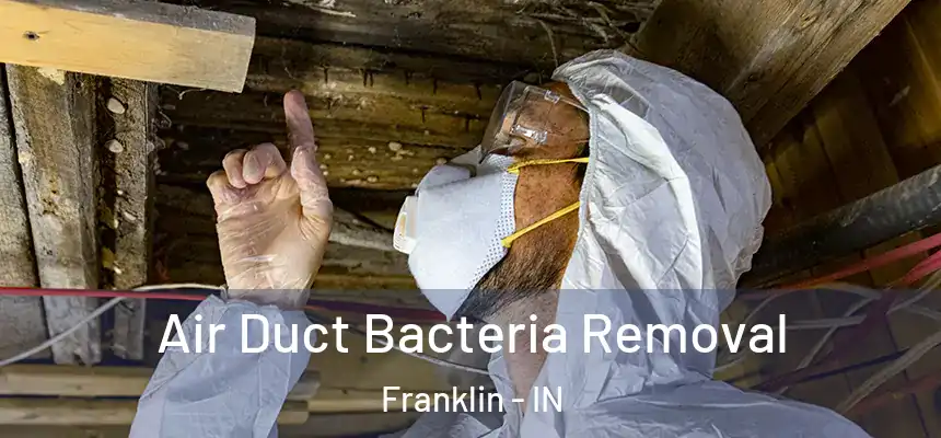 Air Duct Bacteria Removal Franklin - IN