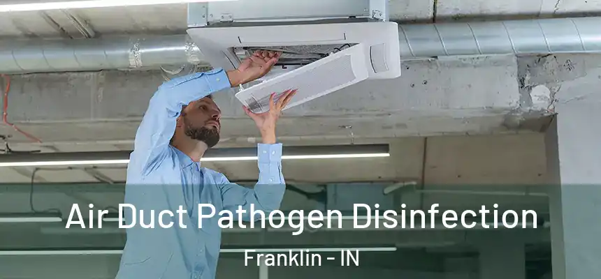 Air Duct Pathogen Disinfection Franklin - IN
