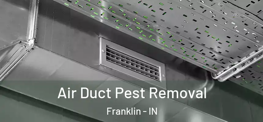Air Duct Pest Removal Franklin - IN
