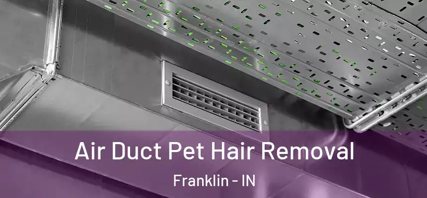  Air Duct Pet Hair Removal Franklin - IN