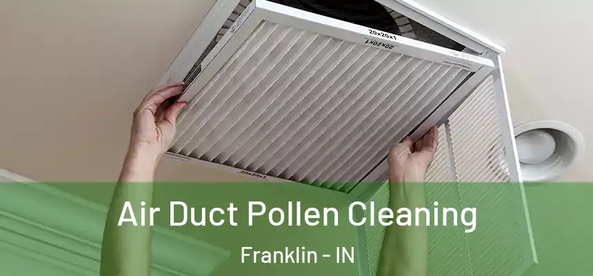Air Duct Pollen Cleaning Franklin - IN