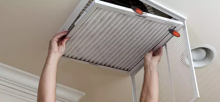 Preventive Cockroach-Proofing for Ducts in Franklin