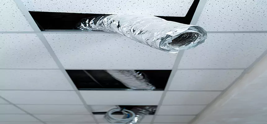 Our Air Duct Pet Hair Removal Services in Franklin, IN