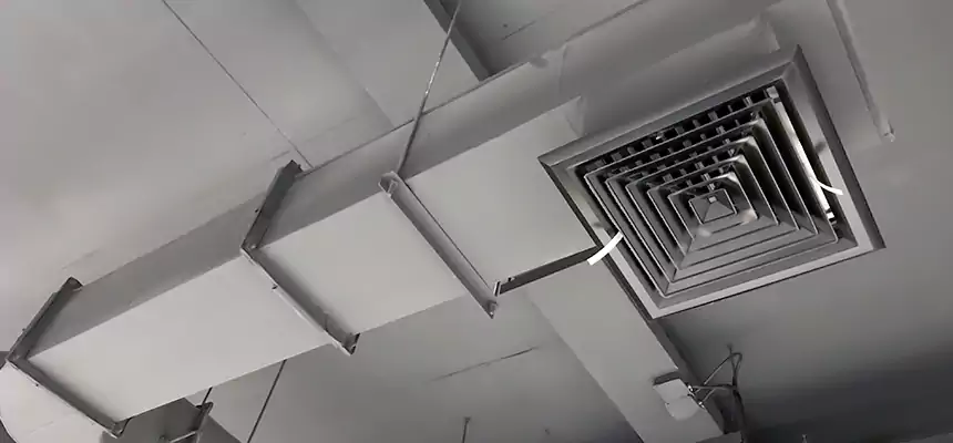 Our Pest Removal From Ducts Services in Franklin, IN