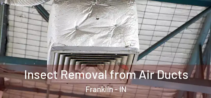 Insect Removal from Air Ducts Franklin - IN