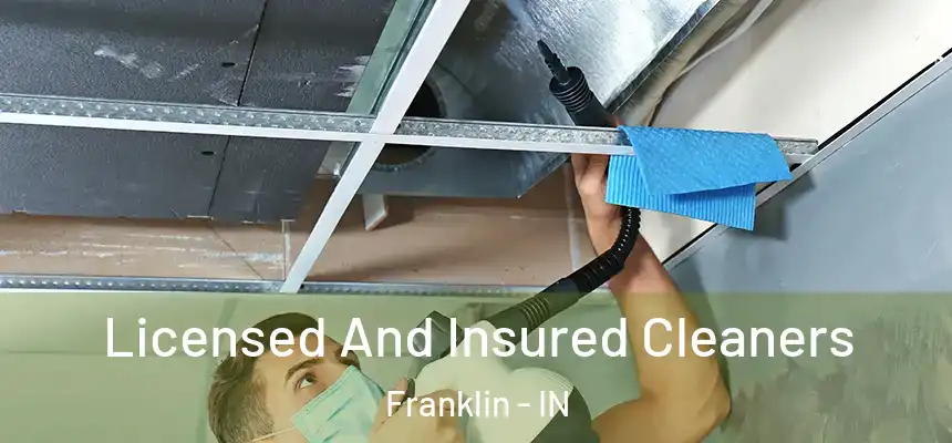 Licensed And Insured Cleaners Franklin - IN