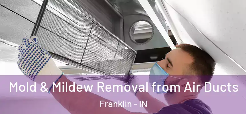 Mold & Mildew Removal from Air Ducts Franklin - IN