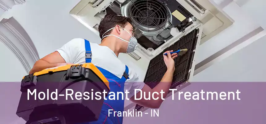 Mold-Resistant Duct Treatment Franklin - IN