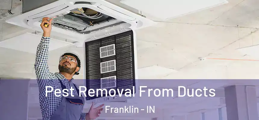 Pest Removal From Ducts Franklin - IN