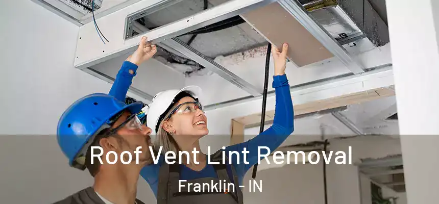 Roof Vent Lint Removal Franklin - IN