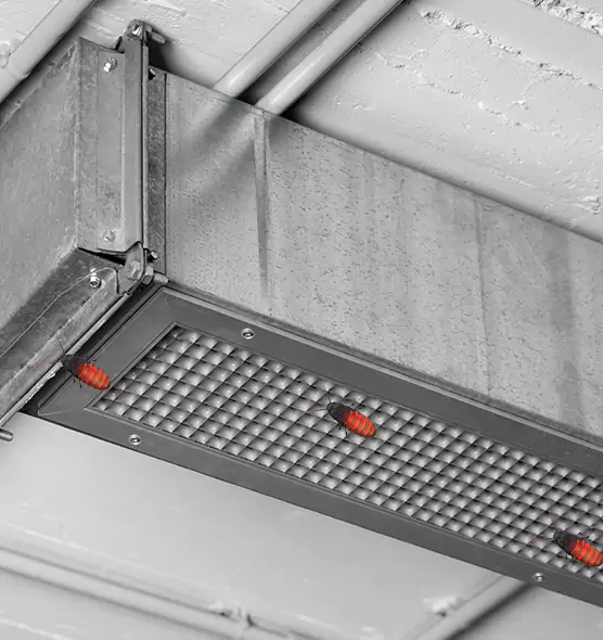 About Air Duct Cockroach Removal in Franklin, IN