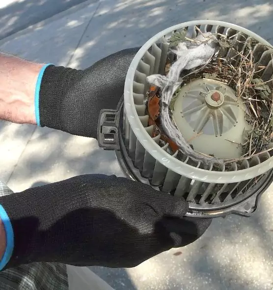 About Air Duct Rat Removal in Franklin, IN